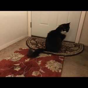 Meet your Posher, Eve